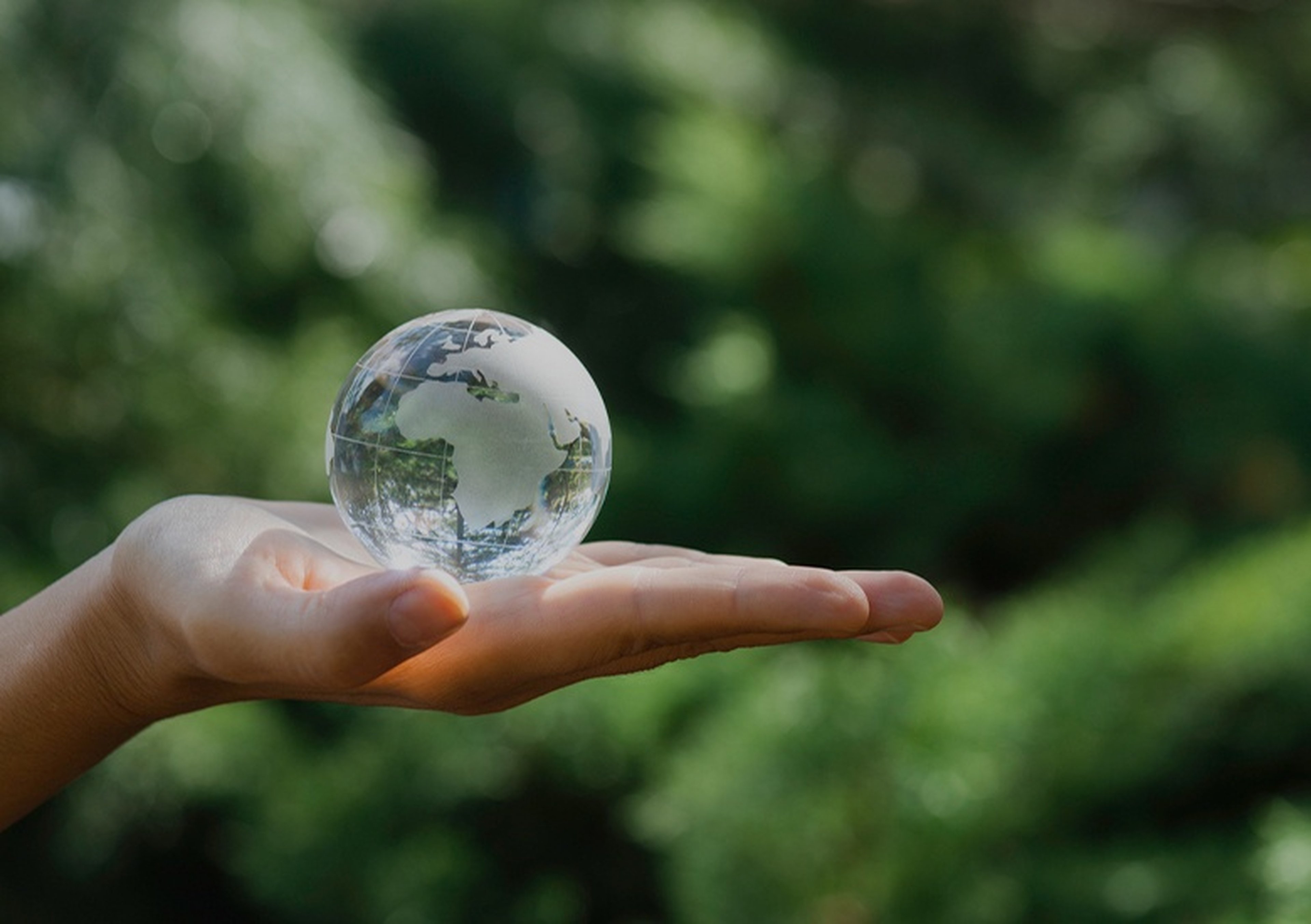 Doğanın Nefesiyle Konfor Bulun