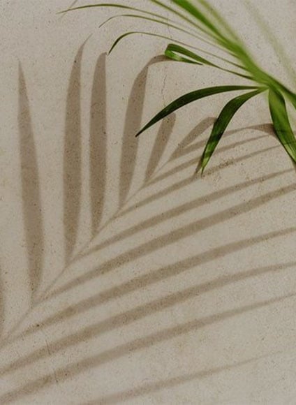 Doğadan Gelen İlham