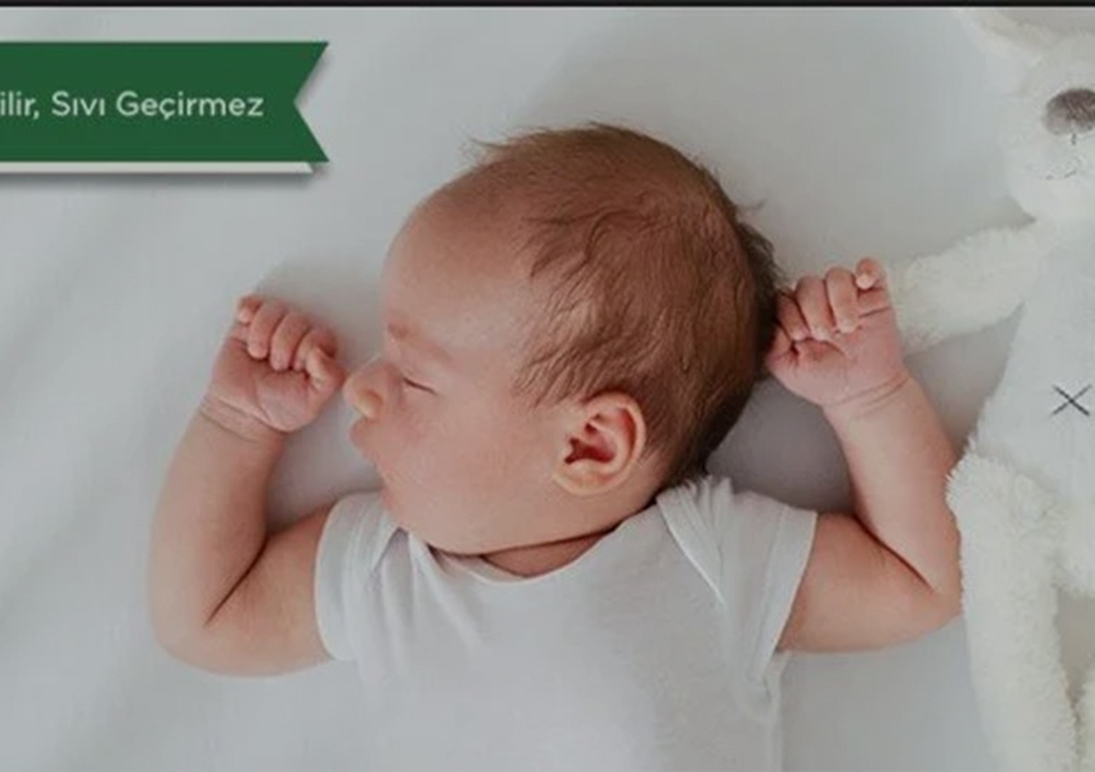 Yenilikçi Tencel Kumaş ve %100 Doğal Okaliptus Lifleri