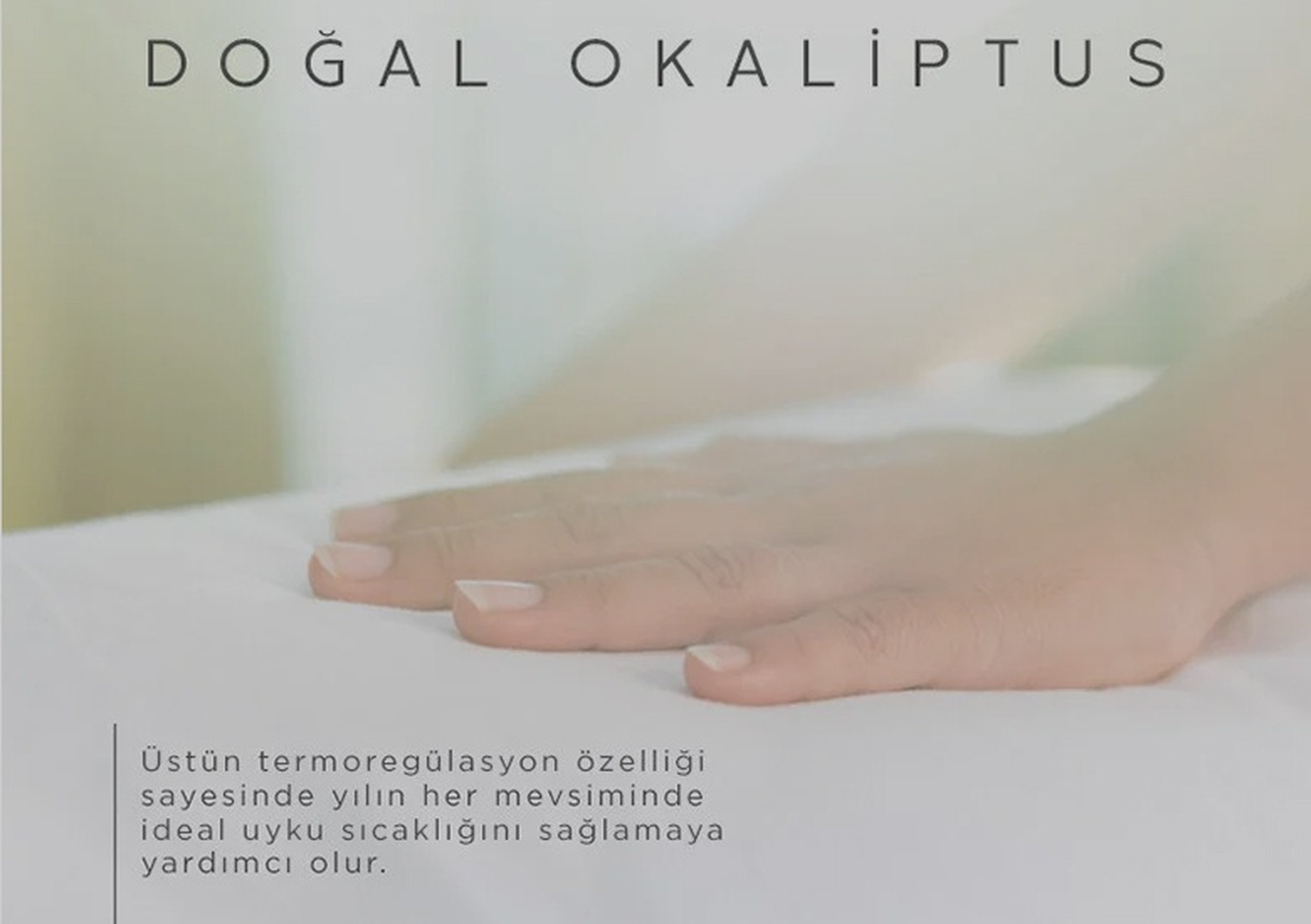 Doğanın Mucizesi Yatağınızda