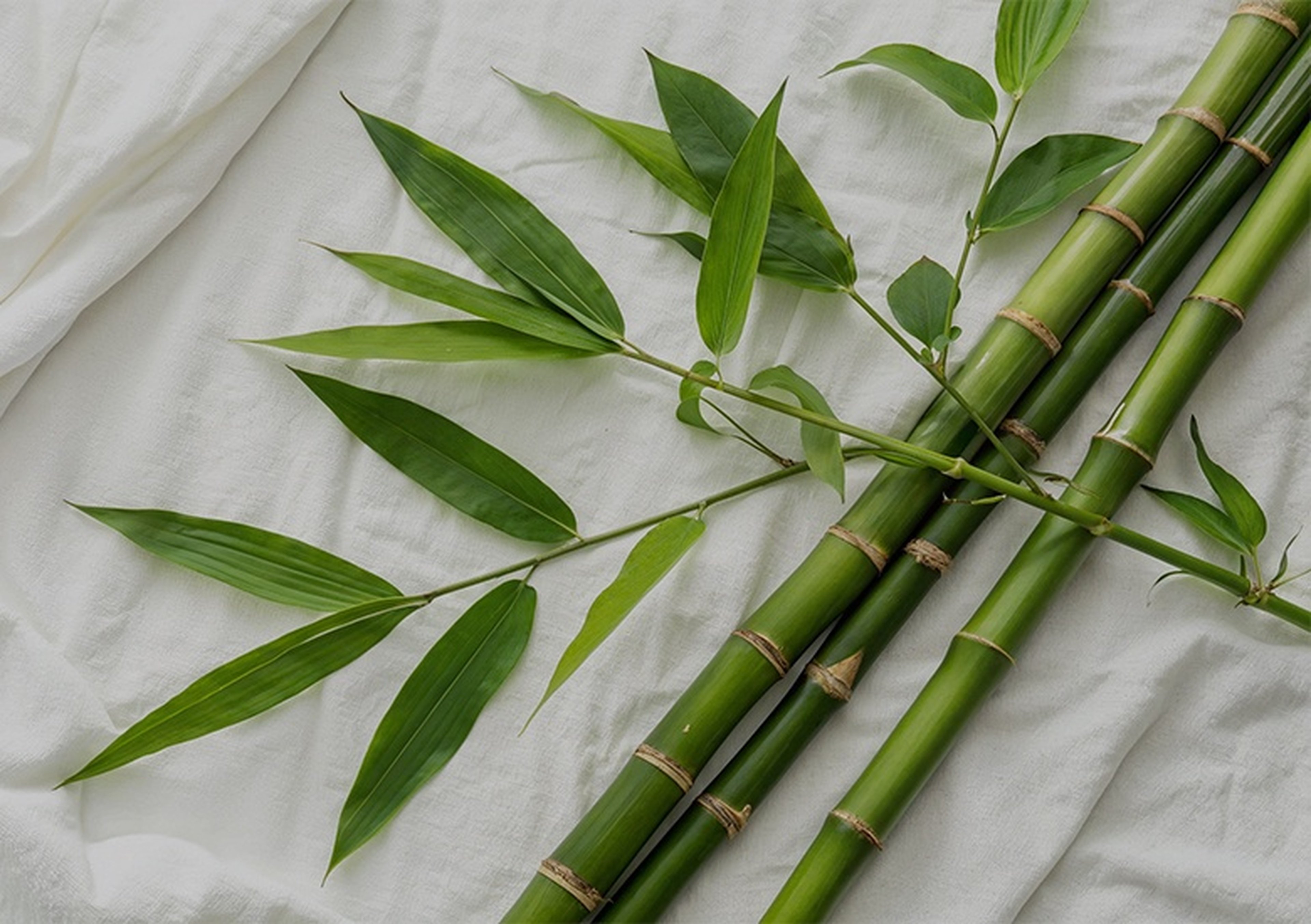 Çift Taraflı ve Sessiz Kullanım