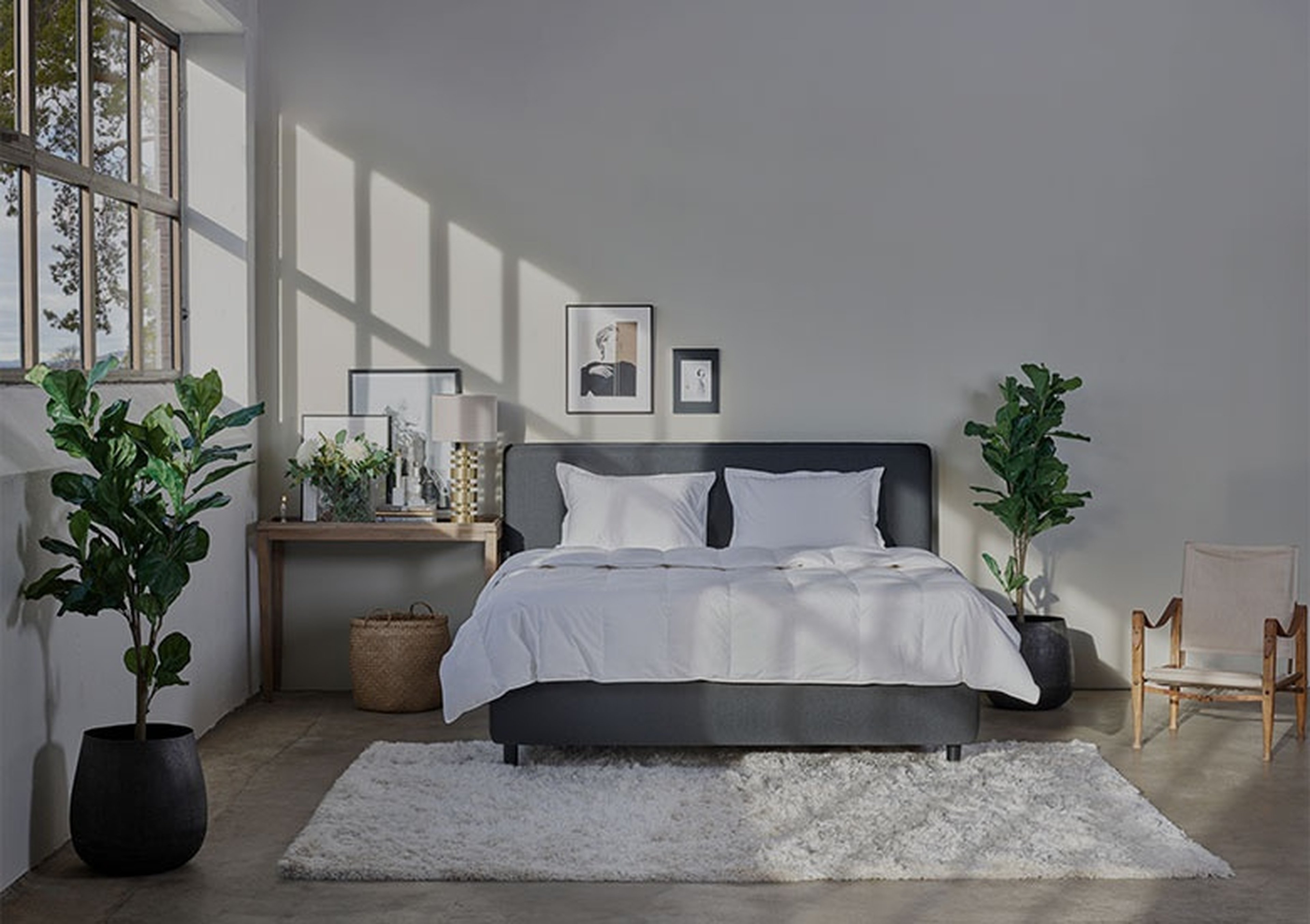 3 Yıl Garanti ve Bakım Önerileri