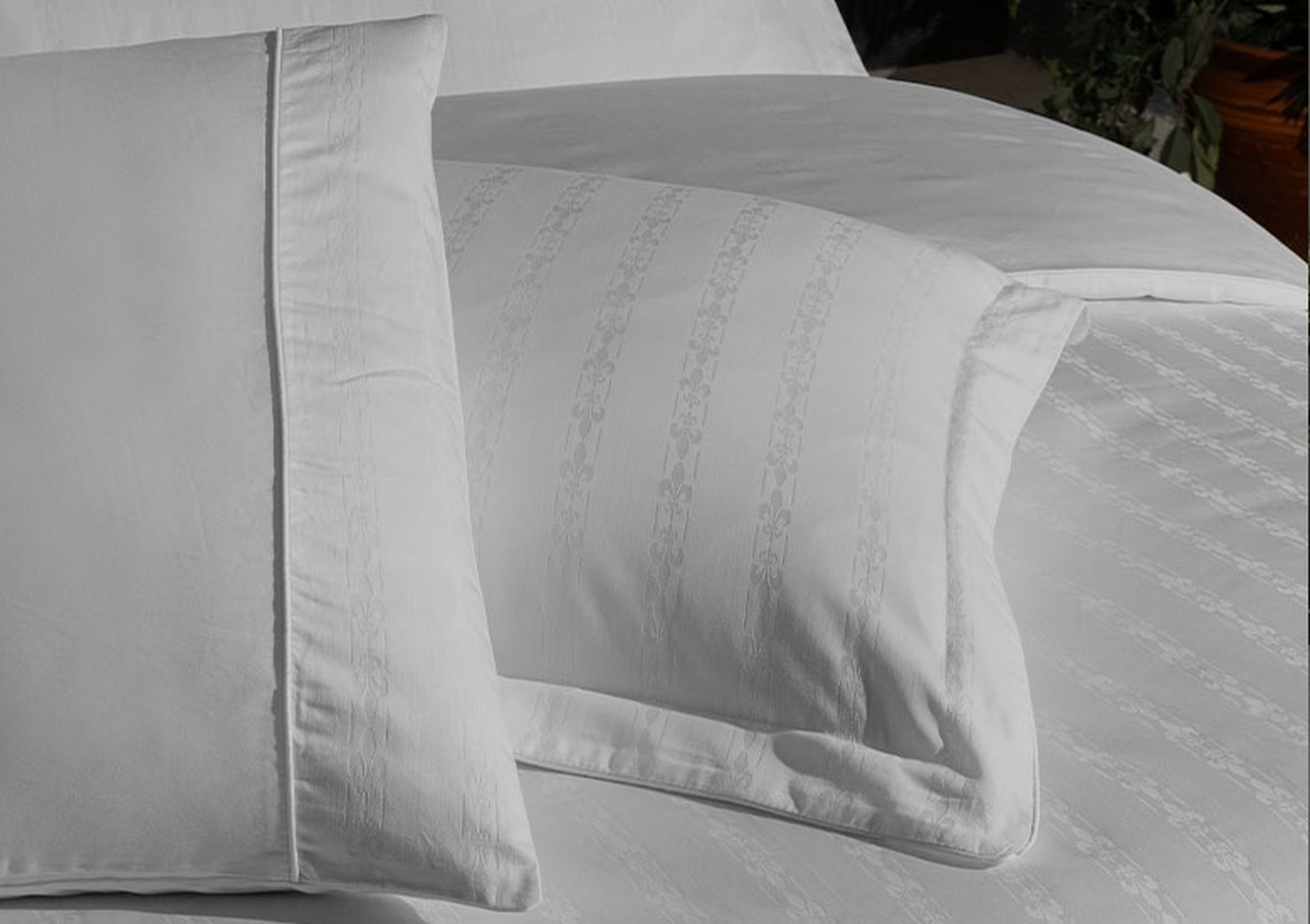 Zamansız Tarz, Size Özel Seçenekler