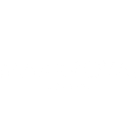 maxxroyal