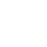 dedeman