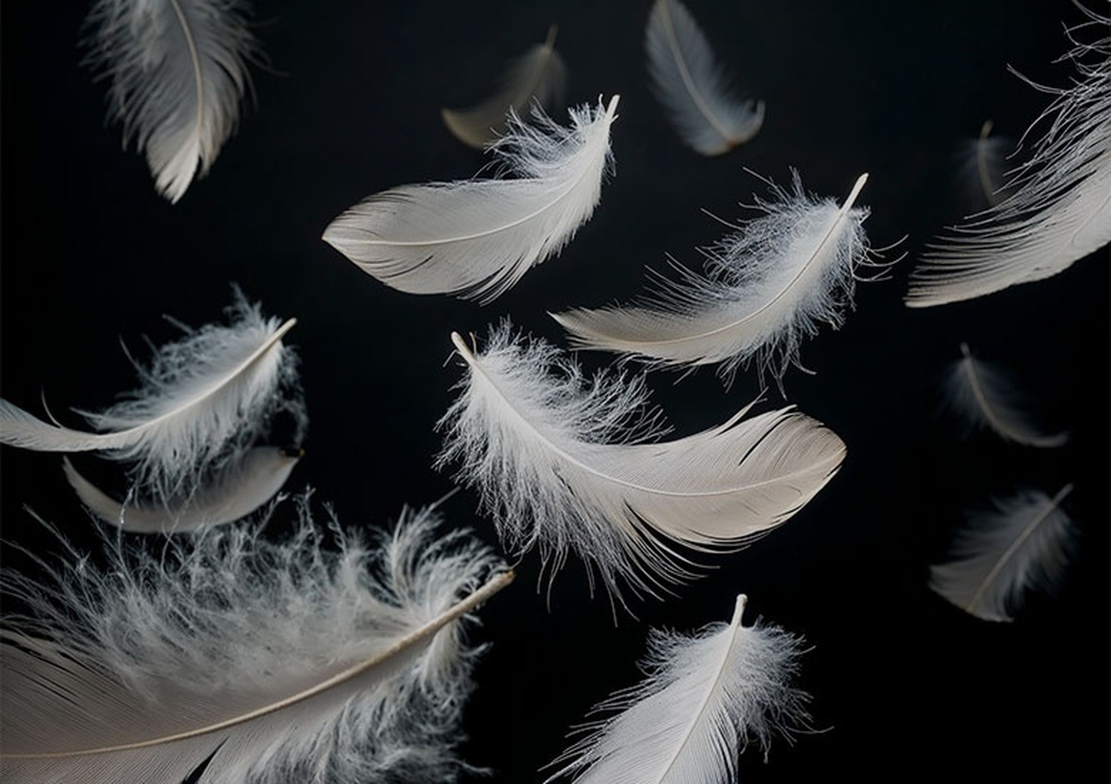 Zarif Dokunuş, Kusursuz Destek