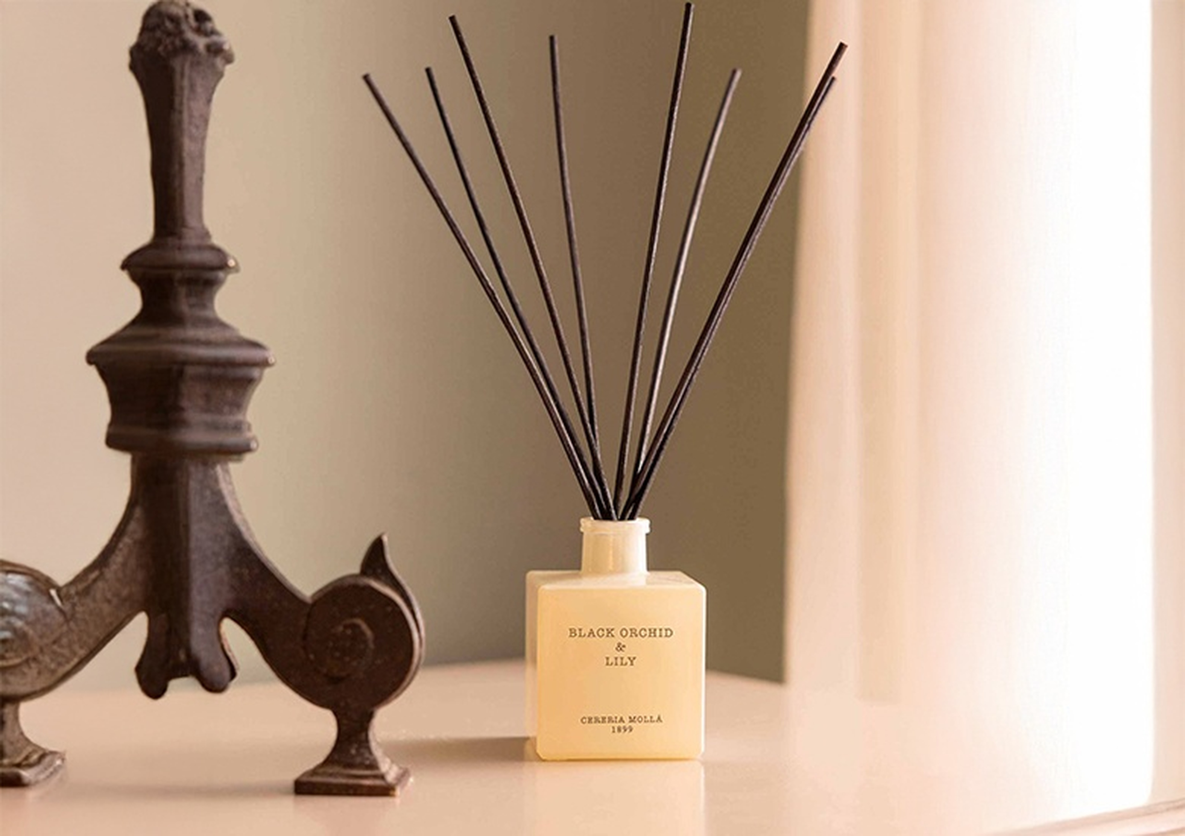 Zamansız Zarafetin Işığı