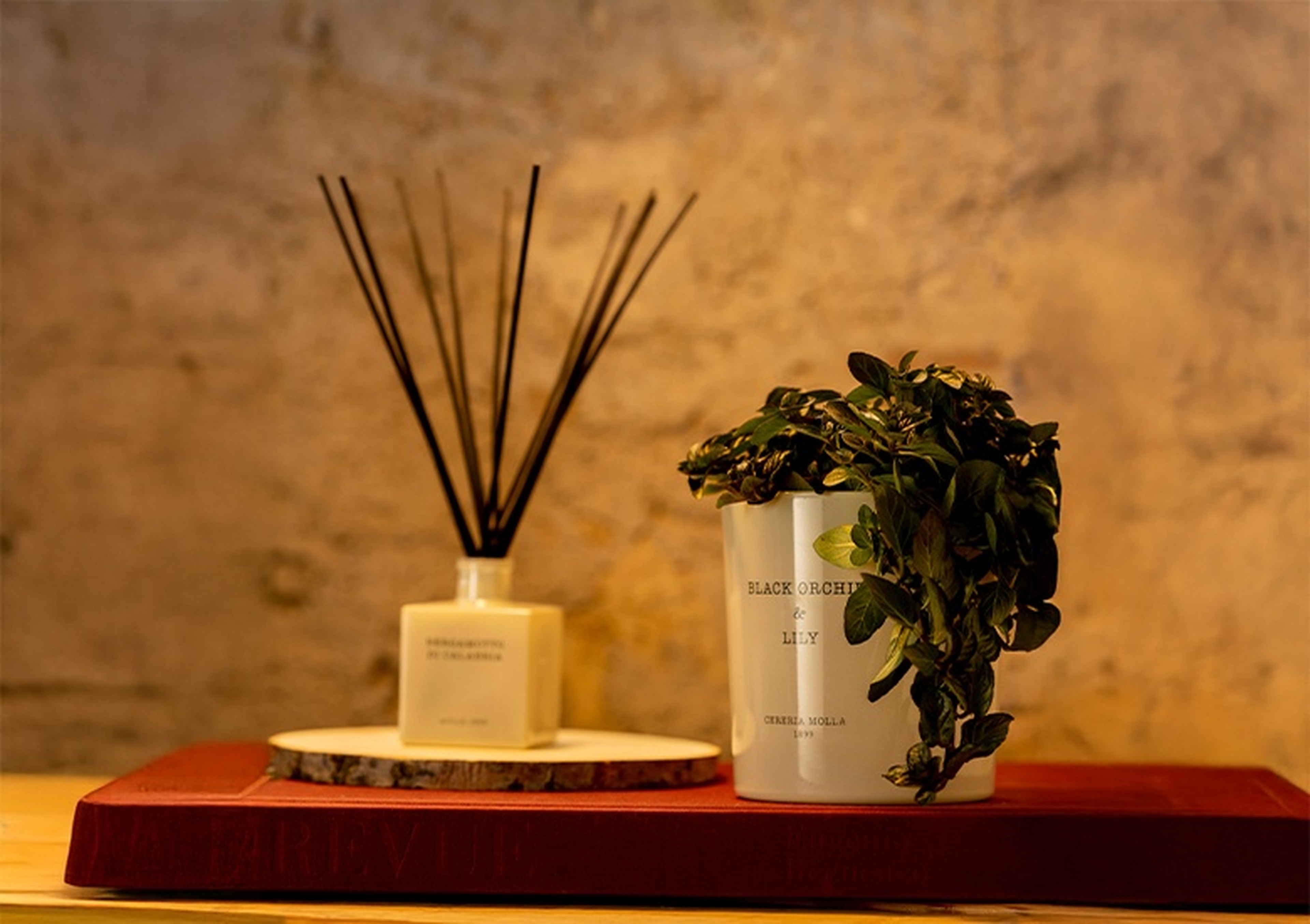 Zamansız Zarafetin Işığı