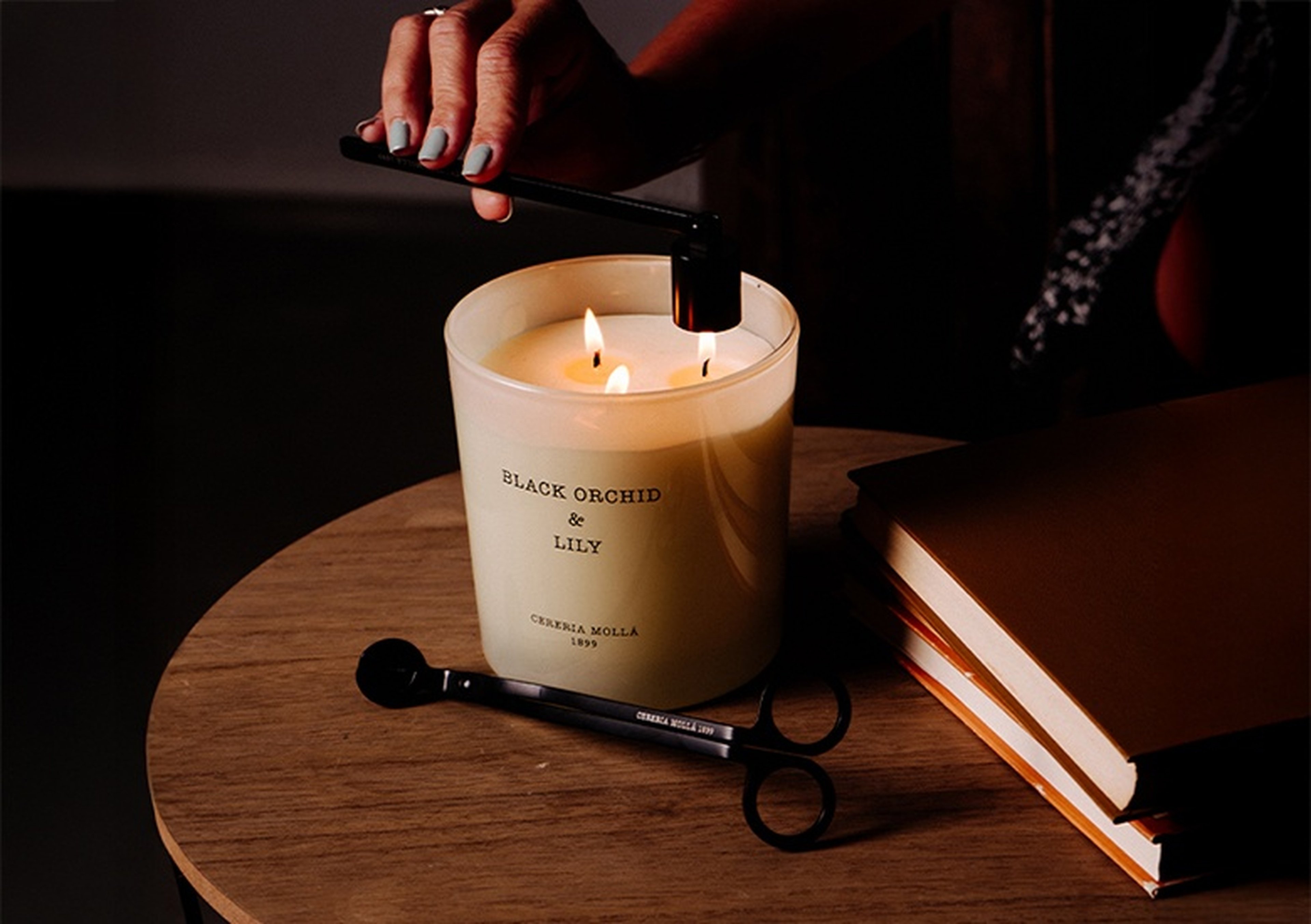 Zamansız Zarafetin Işığı