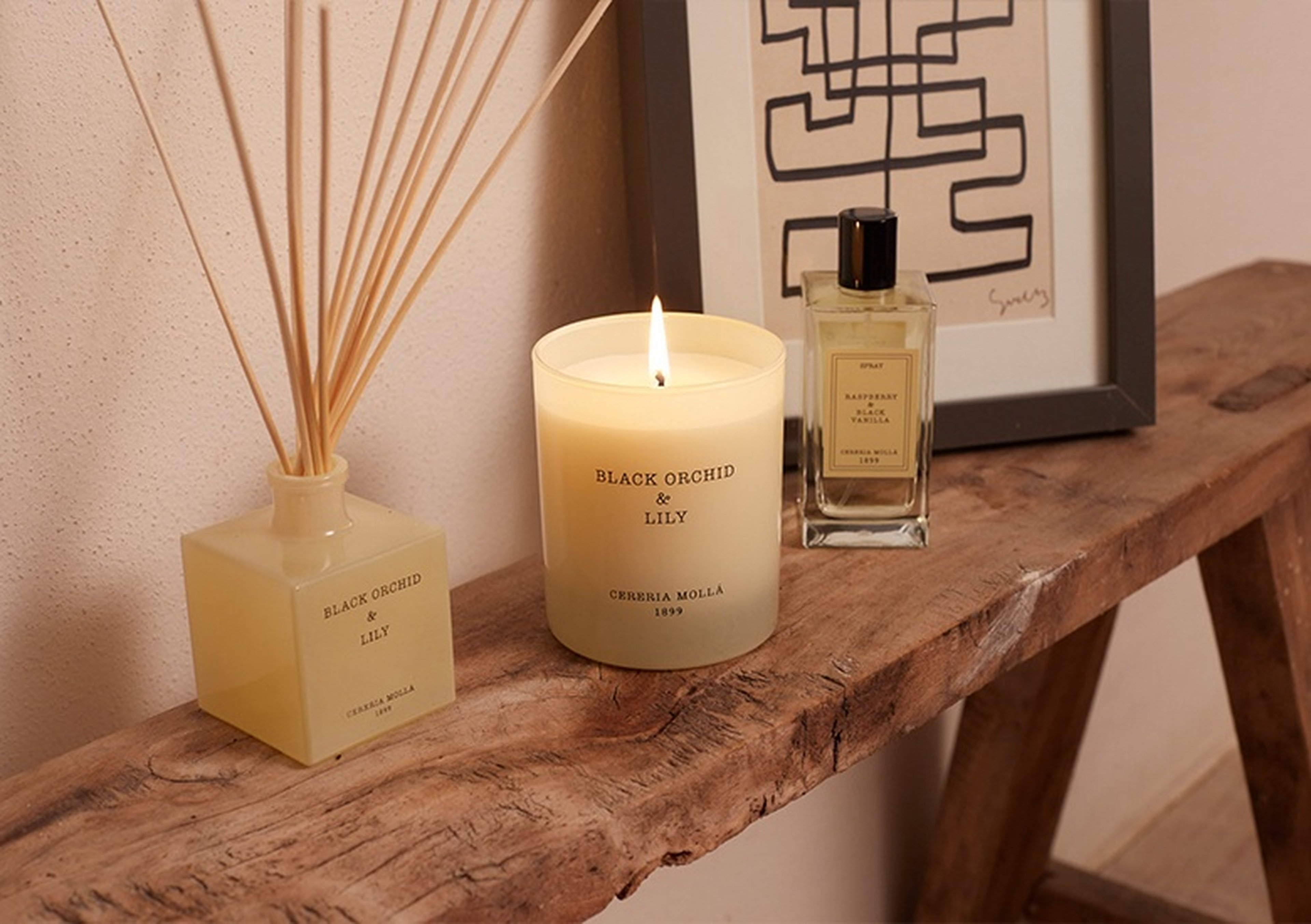 Zamansız Zarafetin Işığı