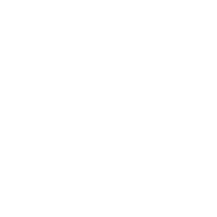 stearns and foster logo