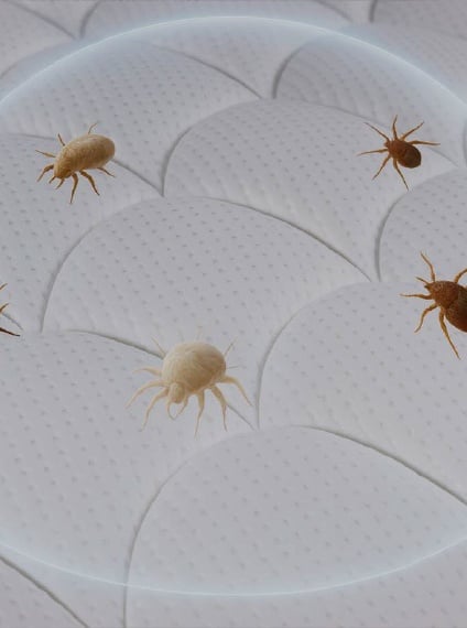 Anti-Bug Teknolojisi