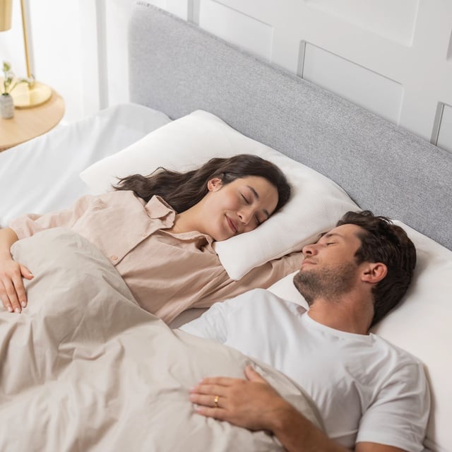 Tempur Comfort Pureclean Orta Sert-Sert Yastık