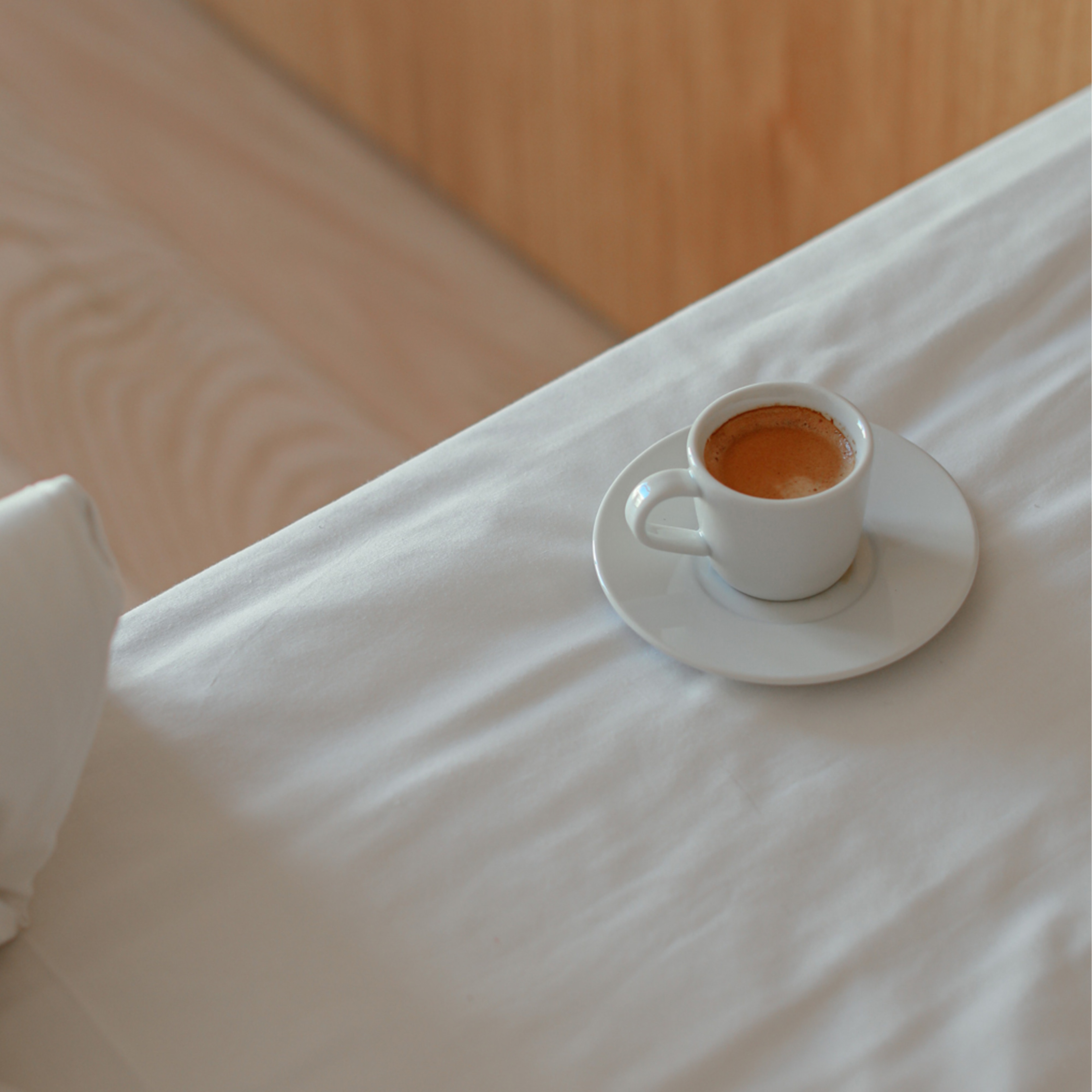 Purecare Essential Sıvı Geçirmez& Hipoalerjenik Alez 120x200